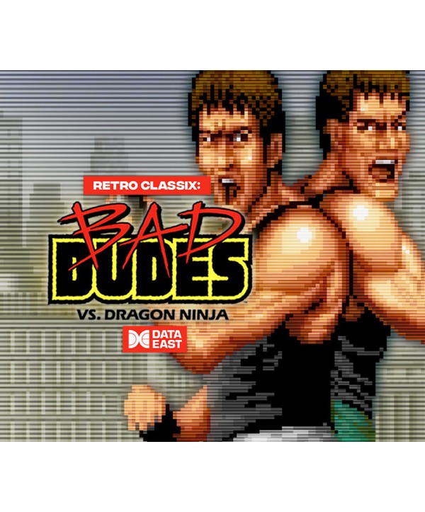 Retro Classix: Bad Dudes Steam Key GLOBAL